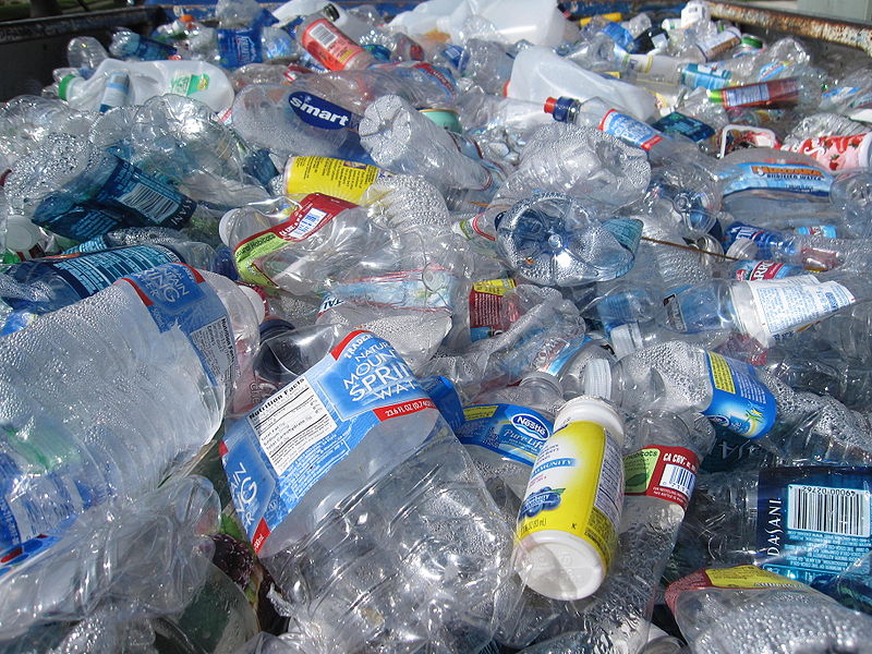 Surprising Secrets of Biodegradable Plastic Bags